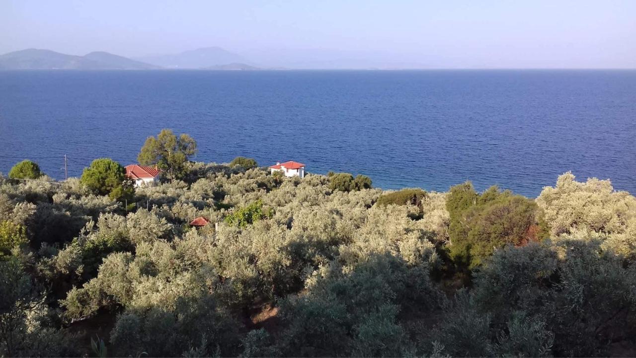 Villa Belian 1 알갈리스티 외부 사진